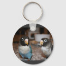 Search for bird watchers key rings Cute