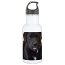 Search for black labrador water bottles Puppy