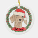 Search for vizsla christmas tree decorations Red
