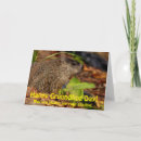 Search for groundhog day cards Animals