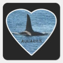 Search for fins stickers Animals
