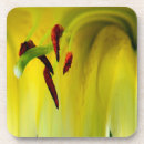 Search for stamen coasters Flower