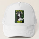 Search for yellow cat accessories Green