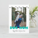 Search for paw print cards From the dog