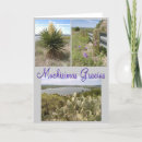 Search for gracias cards Cactus