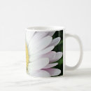 Search for white daisy coffee mugs Petals