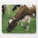 Search for rendering mousepads Vertical