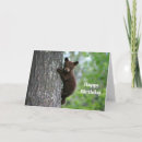 Search for brown bear birthday cards Cute