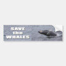 Search for save the whales bumper stickers Animal