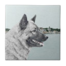 Search for norwegian tiles Dog