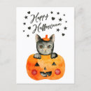 Search for kitty halloween cards Cute