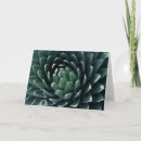 Search for desert flowers cards Succulent
