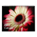 Search for gaillardia Daisies