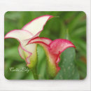 Search for double mousepads Nature