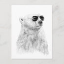Search for bear with sunglasses postcards Animal