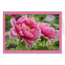 Search for flower blank Get well