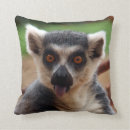 Search for lemur cushions Cute