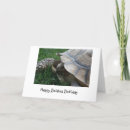 Search for funny tortoise cards Slow
