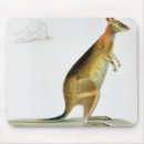Search for possibly mousepads 19th