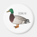 Search for mallards magnets Bird
