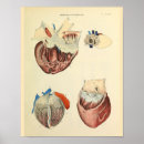 Search for human heart art Vintage