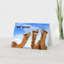 Search for funny camel birthday cards Friend