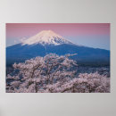 Search for cherry blossom posters Yamanashi prefecture