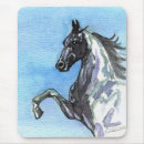 Search for saddlebred Morgan