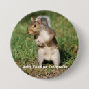 Search for gray squirrel badges Squirrels