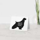 Search for springer spaniel cards Pet