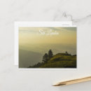 Search for beautiful morning postcards Nature