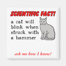 Search for hammer magnets Silly