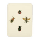 Search for visions magnets Nature