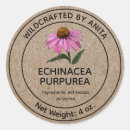 Search for echinacea Organic