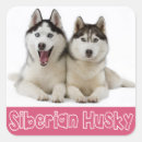 Search for siberian husky stickers Puppies