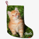 Search for orange cat christmas stockings Animal