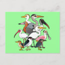 Search for waders Heron