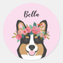 Search for tricolore stickers Corgi