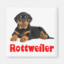 Search for rottweiler cartoons Puppies