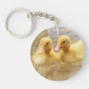 Search for cute ducks key rings Wildlife