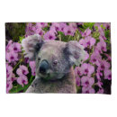Search for koala pillowcases Australia