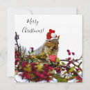 Search for chipmunks christmas cards Squirrels