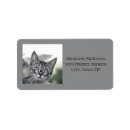 Search for cat with glasses return address labels Funny