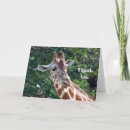 Search for long neck cards Giraffe