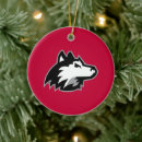 Search for illinois christmas tree decorations Officially licensed