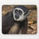 Search for gibbons mousepads Animal