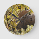 Search for moose clocks Nature