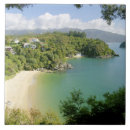 Search for new zealand tiles National park