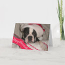 Search for boston christmas cards Terrier