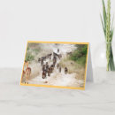 Search for baboon cards invites Africa
